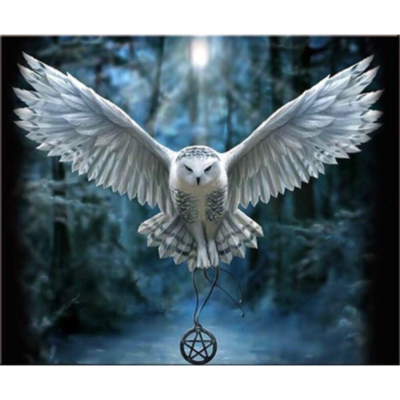 2019 Schlussverkauf ...