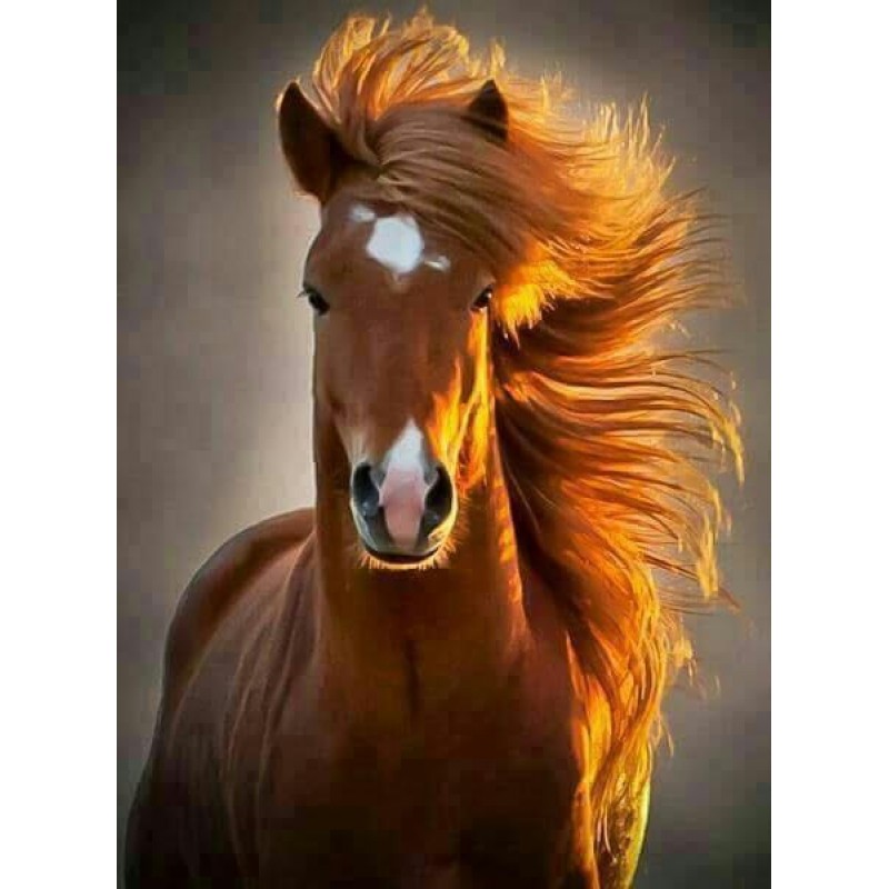 Neuankömmling Schlu...