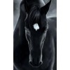 2019 Moderne Kunststile Tiere Pferd Patroon 5d Diamond Painting /Diamant Malerei Set VM07030