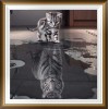 Schlussverkauf Schwarz Und Weiß Katze's Traum To Tiger 5d Diamond Painting /Diamant Malerei Set VM0004