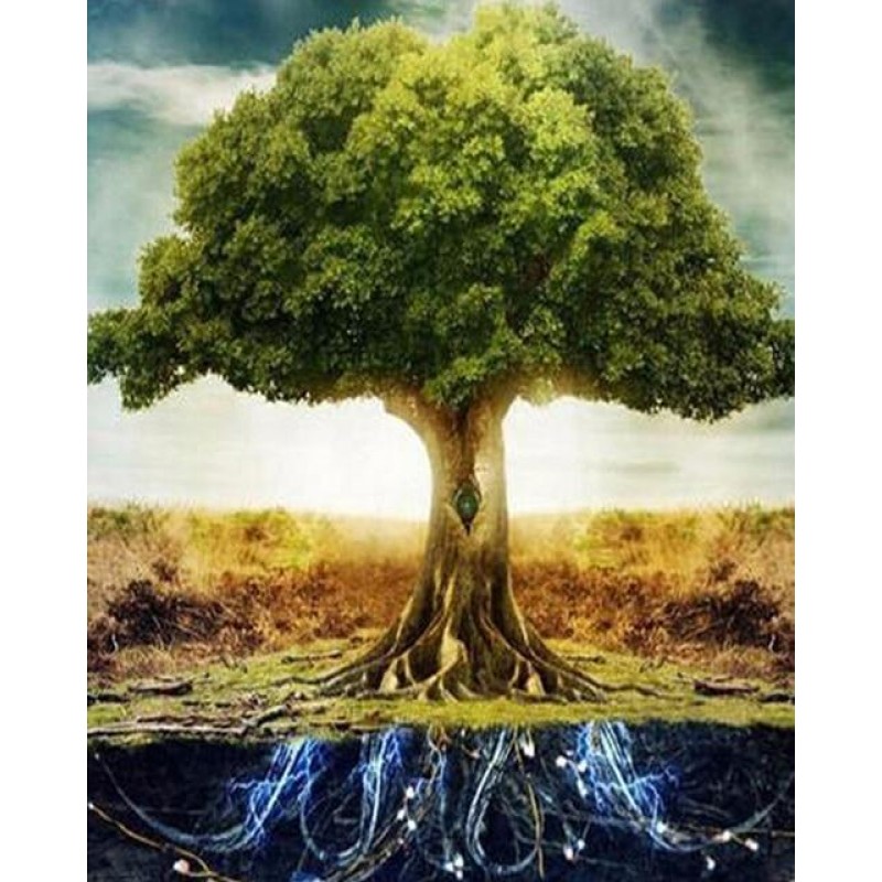 Besondere Traum Jahr...