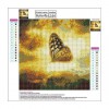 Neuankömmling Fantasie Schmetterling 5d Vol Diamond Painting /Diamant Malerei Set QB5711