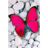 2019 Besondere Kindergeschenk Rote 5d Diamond Painting /Diamant Malerei Set Schmetterling VM4054