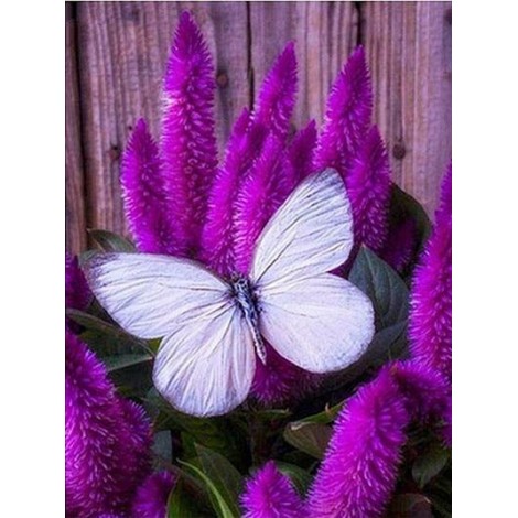 5d Kreuzstich 2019 Neuankömmling Schmetterling En Blume Diamond Painting /Diamant Malerei Set VM9023