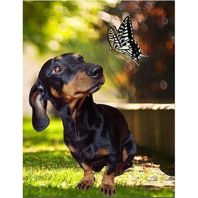 5d 2019 Neuankömmli...