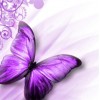 2019 Traum Lavendel Schmetterling Patroons Diamond Painting /Diamant Malerei Set VM7648