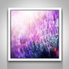 Neuankömmling Lavendel Felder Natur 5D Kreuzstich Diamond Painting /Diamant Malerei Set NA0044