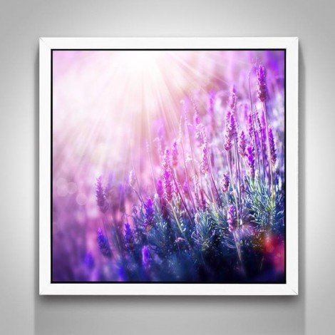 Neuankömmling Lavendel Felder Natur 5D Kreuzstich Diamond Painting /Diamant Malerei Set NA0044