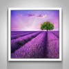 Schlussverkauf Lavendel Felder Natur 5D Diamond Painting /Diamant Malerei Set NA0047