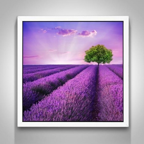Schlussverkauf Lavendel Felder Natur 5D Diamond Painting /Diamant Malerei Set NA0047