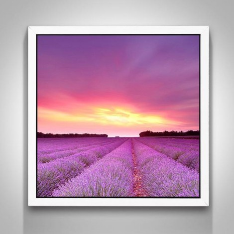 Billig Lavendel Felder Natur 5D Diamond Painting /Diamant Malerei Set NA0046