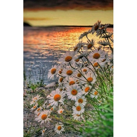 2019 Neuankömmling Schlussverkauf Blume 5d Diamond Painting /Diamant Malerei Set VM9828