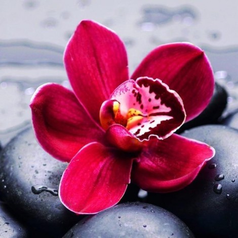 2019 Schlussverkauf Bergkristal Rote Blume 5d Diamond Painting /Diamant Malerei Set VM4179