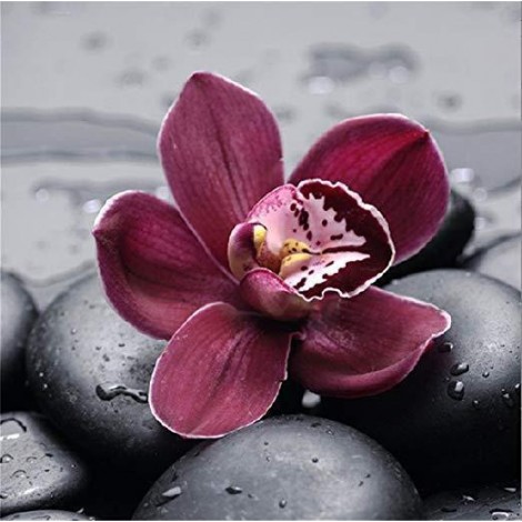 2019 Besondere Populair Rote Blume 5d Diamond Painting /Diamant Malerei Set VM4197