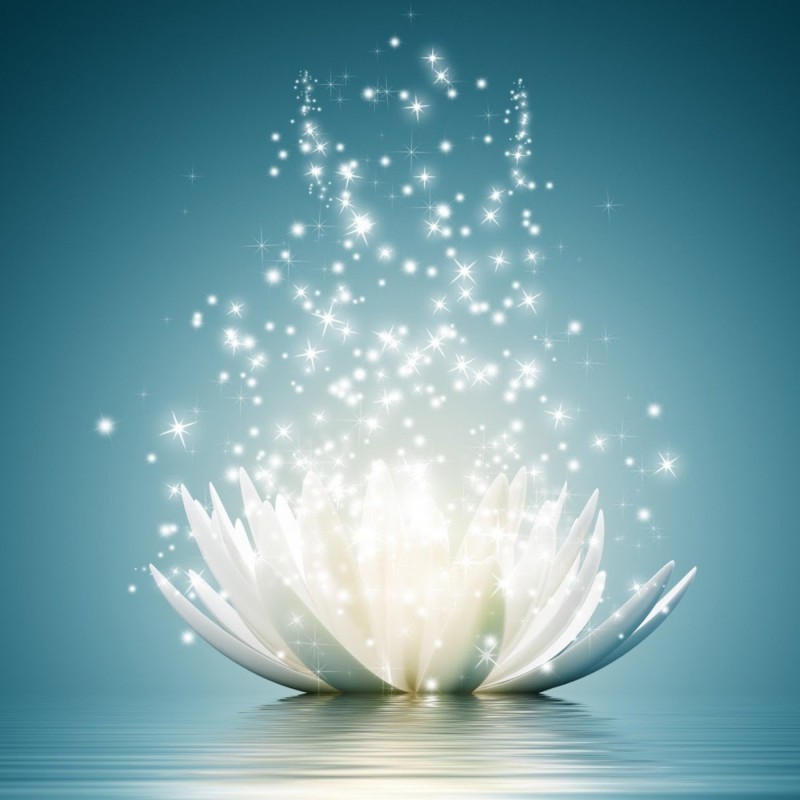 2019 Traum Vol Eckig...