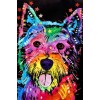 Bedazzled Besondere Kleurrijk Hund 5d Diamond Painting /Diamant Malerei Set VM09528