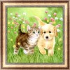 2019 Billig Diamond Patroon Katze En Hund 5d Diamond Painting /Diamant Malerei Set VM6210