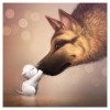 Bestees Besondere Haustiere Hund 5d Vol Diamond Painting /Diamant Malerei Set QB05495