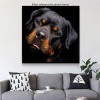 2019 Besondere Hund Rottweiler Bilder 5d Diamond Painting /Diamant Malerei Set VM9853