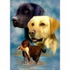 Bestees Ölgemälde Stile Haustiere Hund 5d Vol Diamond Painting /Diamant Malerei Set QB05493