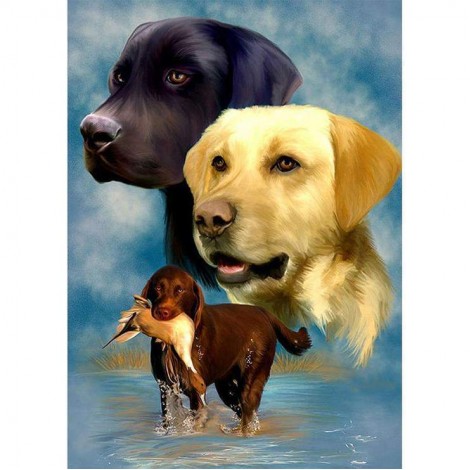 Bestees Ölgemälde Stile Haustiere Hund 5d Vol Diamond Painting /Diamant Malerei Set QB05493
