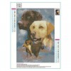 Bestees Ölgemälde Stile Haustiere Hund 5d Vol Diamond Painting /Diamant Malerei Set QB05493
