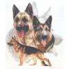 2019 Neuankömmling Schlussverkauf Hund Bilder 5d Diamond Painting /Diamant Malerei Set VM09538