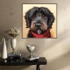 Billig Ölgemälde Stile Haustiere Hund 5d Vol Diamond Painting /Diamant Malerei Set QB5492