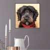 Billig Ölgemälde Stile Haustiere Hund 5d Vol Diamond Painting /Diamant Malerei Set QB5492