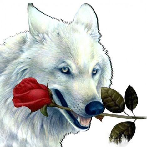 Neuankömmling Ölgemälde Stile Wolf Rosen Patroon 5d Diamond Painting /Diamant Malerei Set QB6574