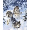 Ölgemälde Stile Neuankömmling 5d Diamond Painting /Diamant Malerei Stickerei Sneeuw Wolf VM8623