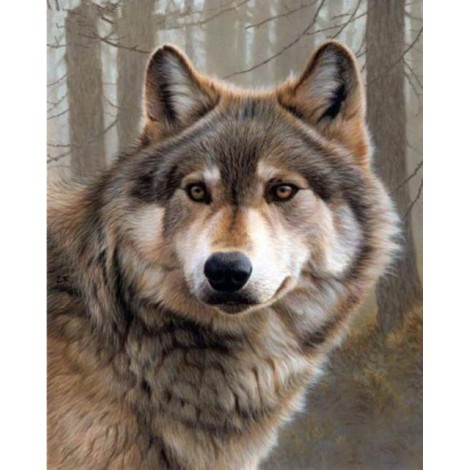 2019 Neuankömmling Schlussverkauf Stitch Set Snelle Bezorging 5d Diamond Painting /Diamant Malerei Stickerei Wolf VM8625