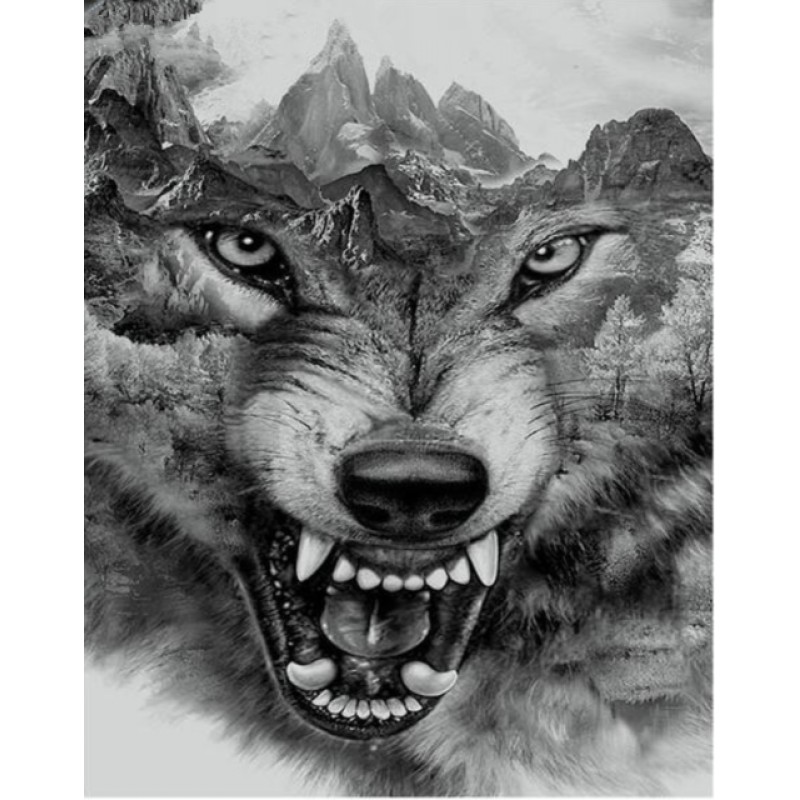 2019 Neuankömmling ...