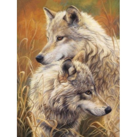 2019 Neuankömmling Verschillende Maten 5d Diamond Painting /Diamant Malerei Stickerei Wolf Set VM8632