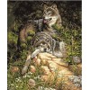 2019 Ölgemälde Stile Painting 5d Diamond Painting /Diamant Malerei Stickerei Wolf Set VM8629