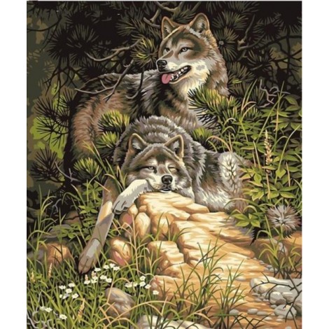 2019 Ölgemälde Stile Painting 5d Diamond Painting /Diamant Malerei Stickerei Wolf Set VM8629