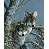 2019 Neuankömmling Schlussverkauf Verschillende Maten 5d Diamond Painting /Diamant Malerei Stickerei Wolf Set VM8634