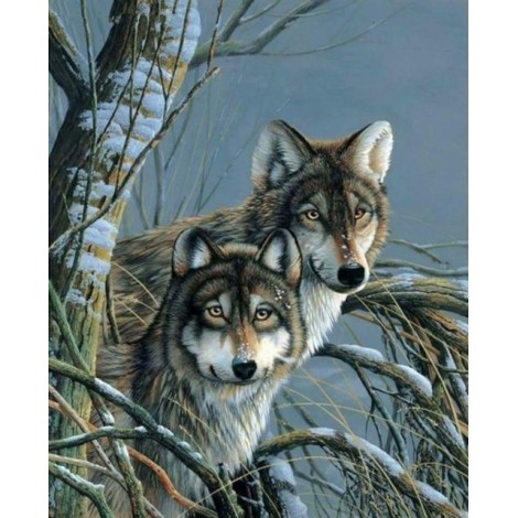 2019 Neuankömmling Schlussverkauf Verschillende Maten 5d Diamond Painting /Diamant Malerei Stickerei Wolf Set VM8634