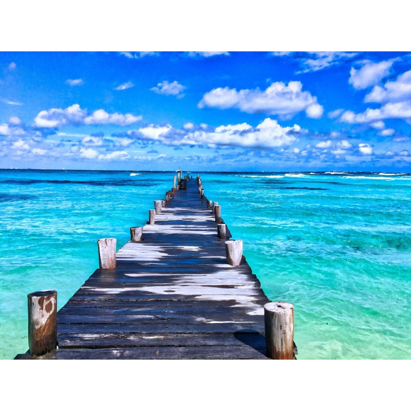 2019 Neuankömmling ...