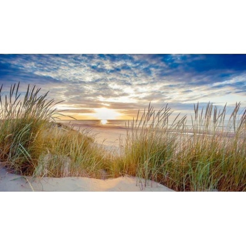 2019 Neuankömmling ...