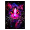 Bedazzled Besondere Katze 5d Diamond Painting /Diamant Malerei Set QB7014