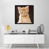 Neuankömmling Katze 5d Diamond Painting /Diamant Malerei Set QB9999