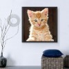 Neuankömmling Katze 5d Diamond Painting /Diamant Malerei Set QB9999