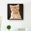 Neuankömmling Katze 5d Diamond Painting /Diamant Malerei Set QB9999