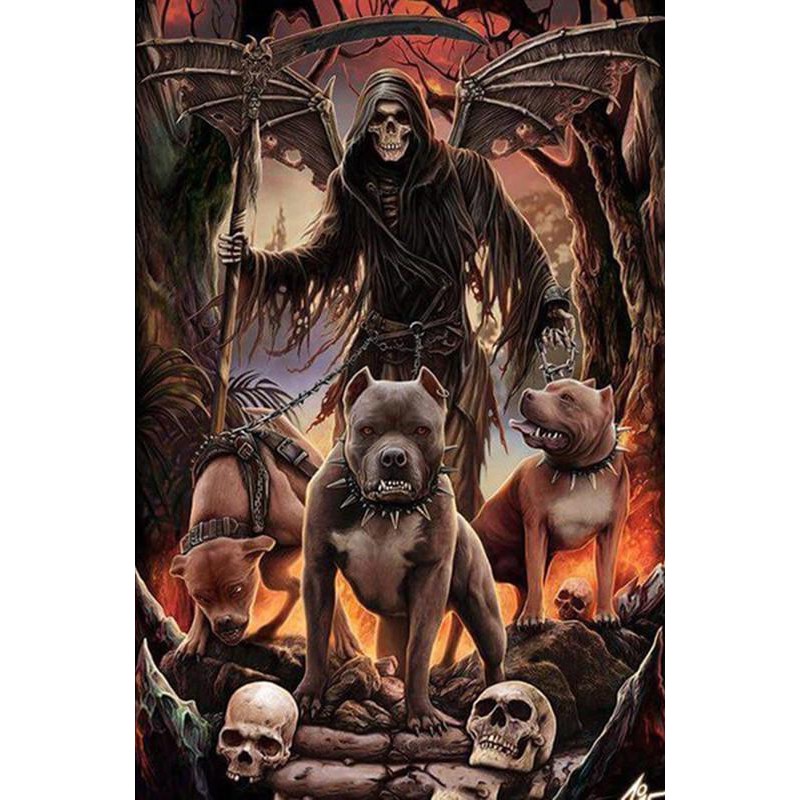 2019 Neuankömmling ...